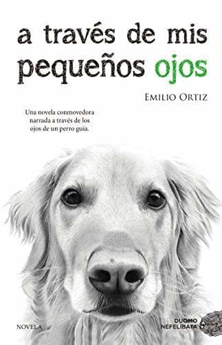 Libro A través de mis pequeños ojos