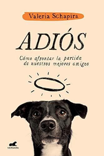 Libro Adiós