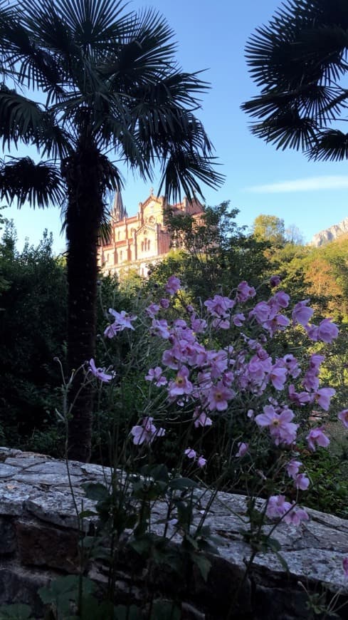 Place Santuario de Covadonga