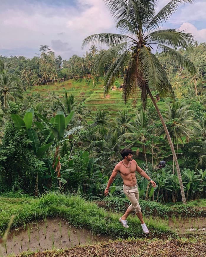 Place Tegallalang Rice Terrace