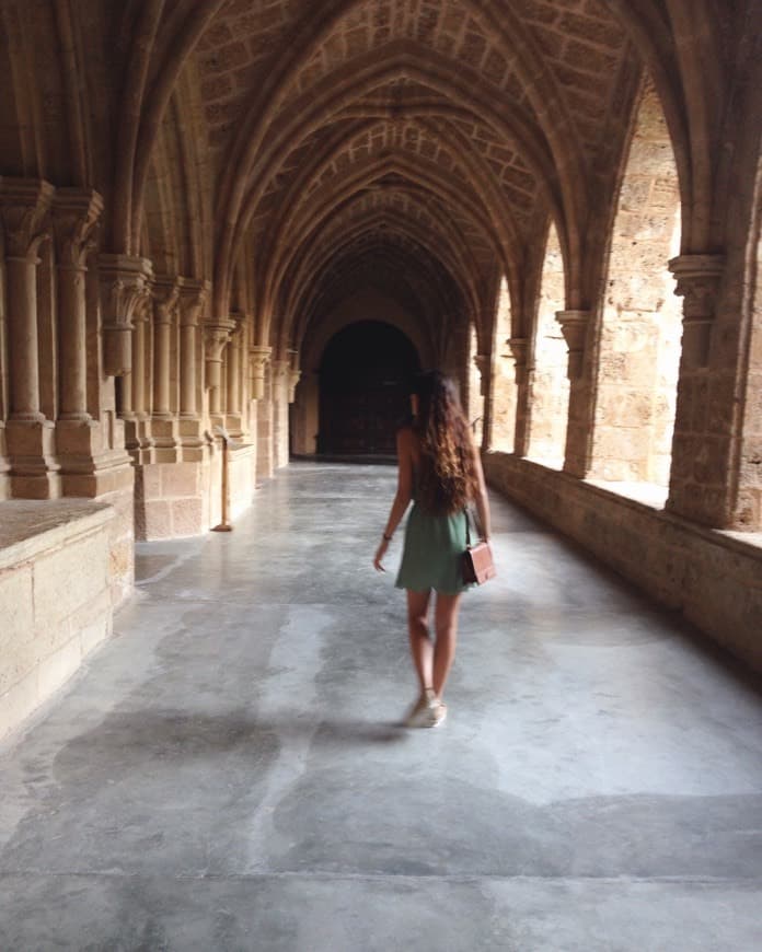 Place Monasterio de Piedra