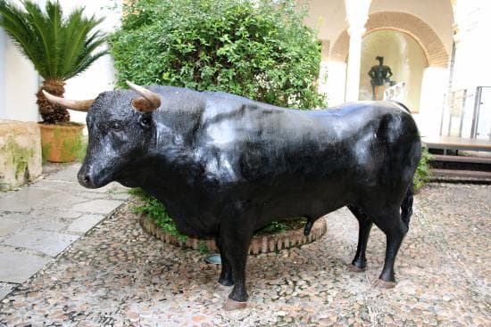 Lugar Museo Taurino de Córdoba