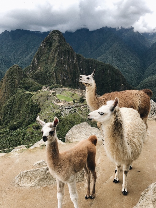 Lugar Machu Picchu