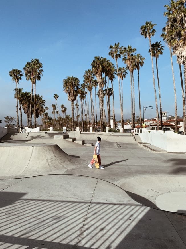 Lugar Skater's Point