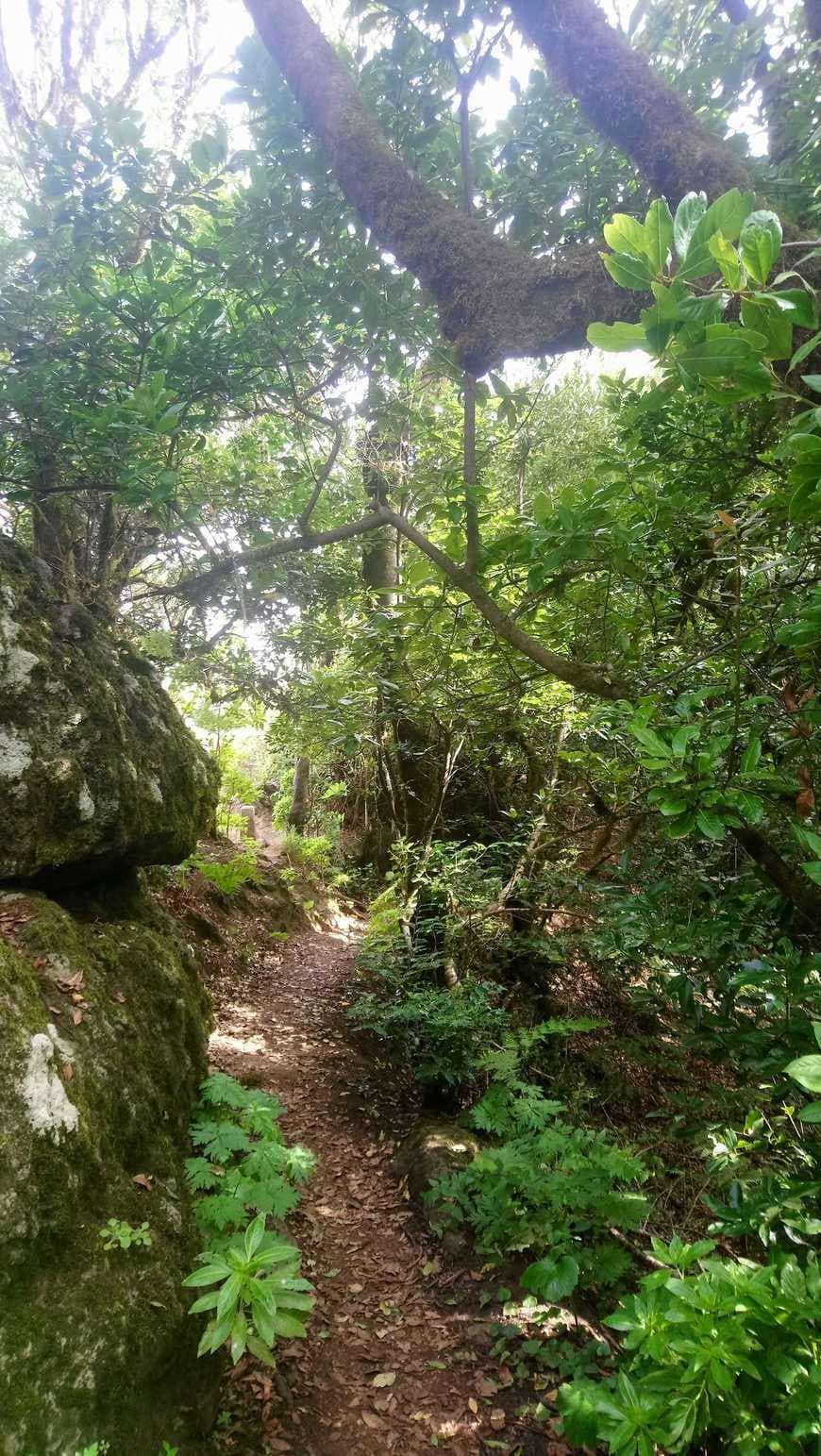 Lugar Parque Rural Anaga