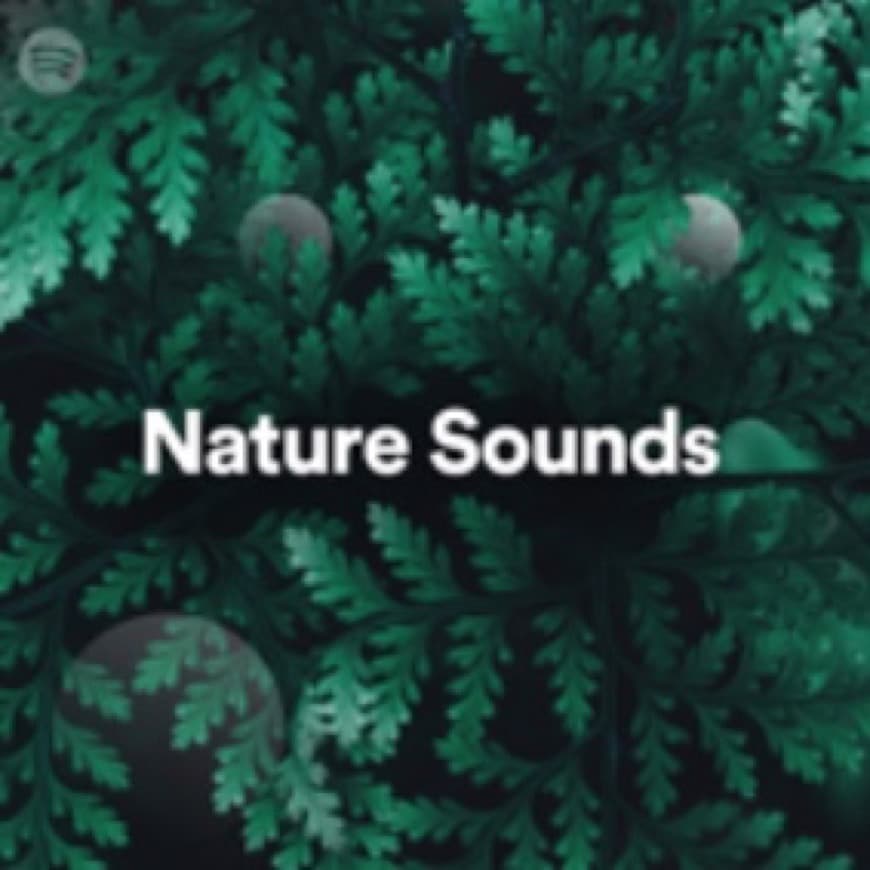 Canción Lista de Spotify “Nature Sounds” 