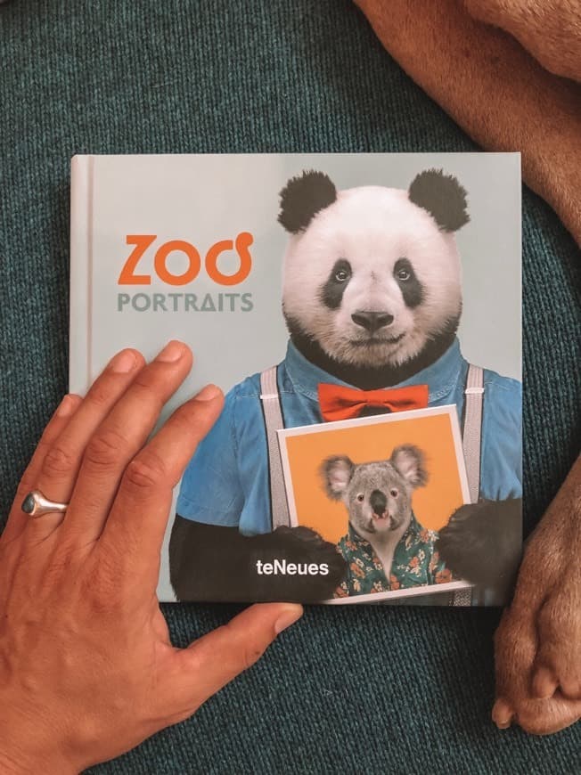 Book ZOO Portraits