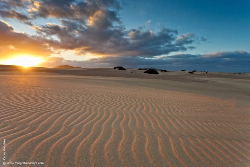 Lugar Las Dunas Corralejo