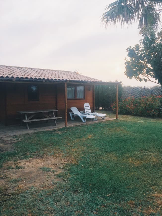 Lugar Palmar Bungalow