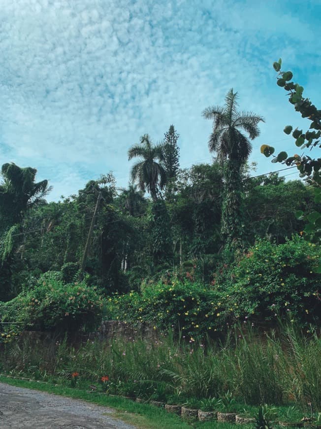 Lugar Viñales