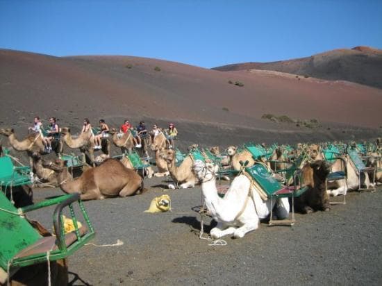 Lugar Lanzarote