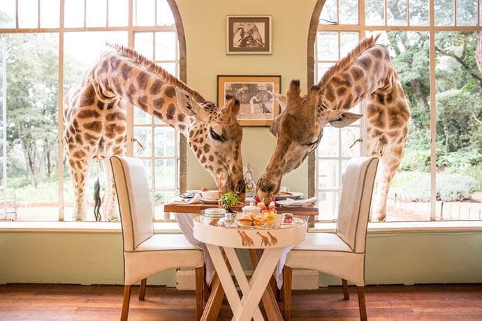 Lugar Giraffe Manor