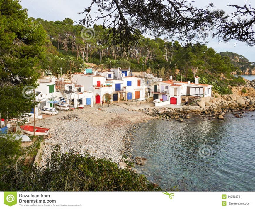 Place Cala S'Alguer