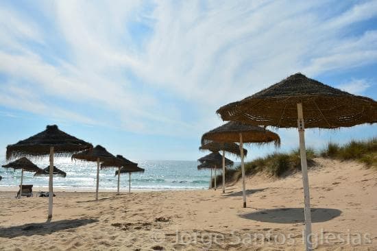 Restaurantes Restaurante Borda D`água (costa De Caparica)