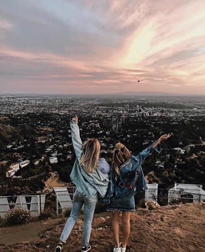 Place Hollywood Sign