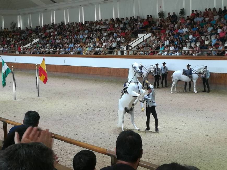 Place Real Escuela de Arte Ecuestre