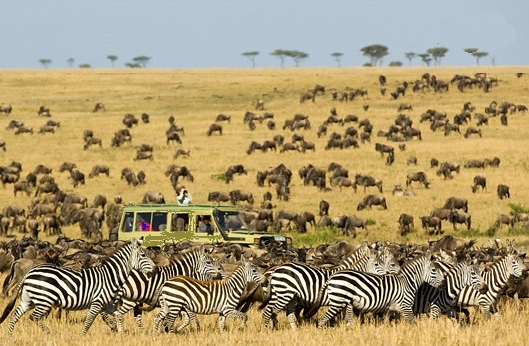 Lugar Serengeti National Park