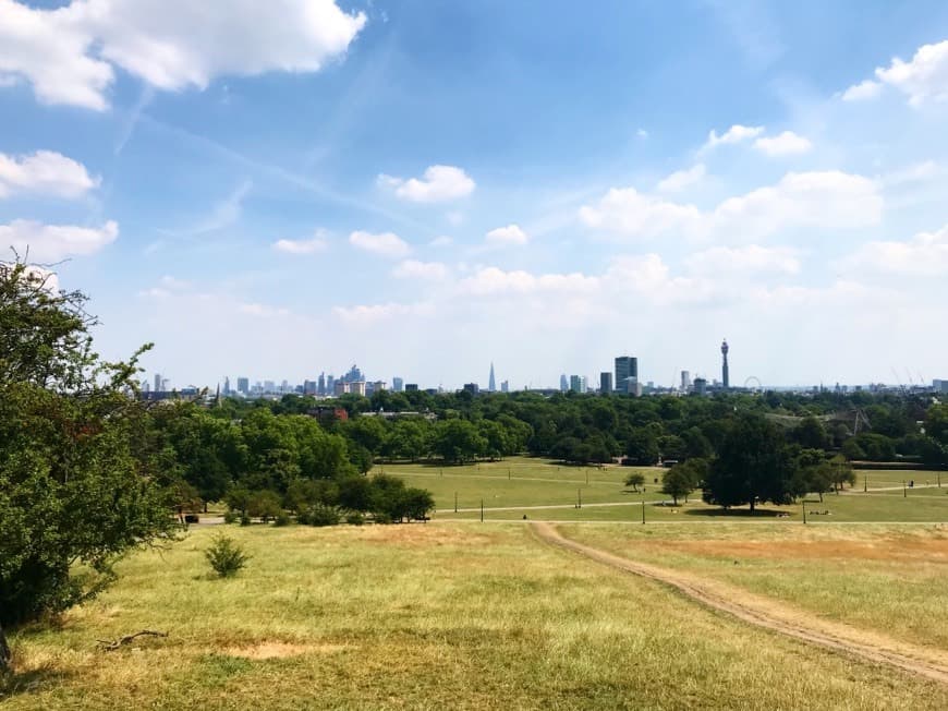 Place Primrose Hill