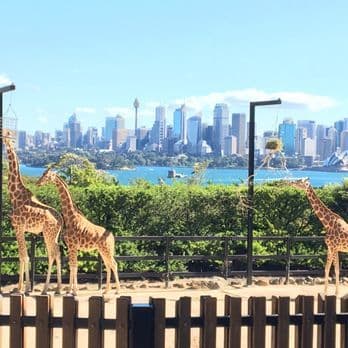 Place Taronga Zoo