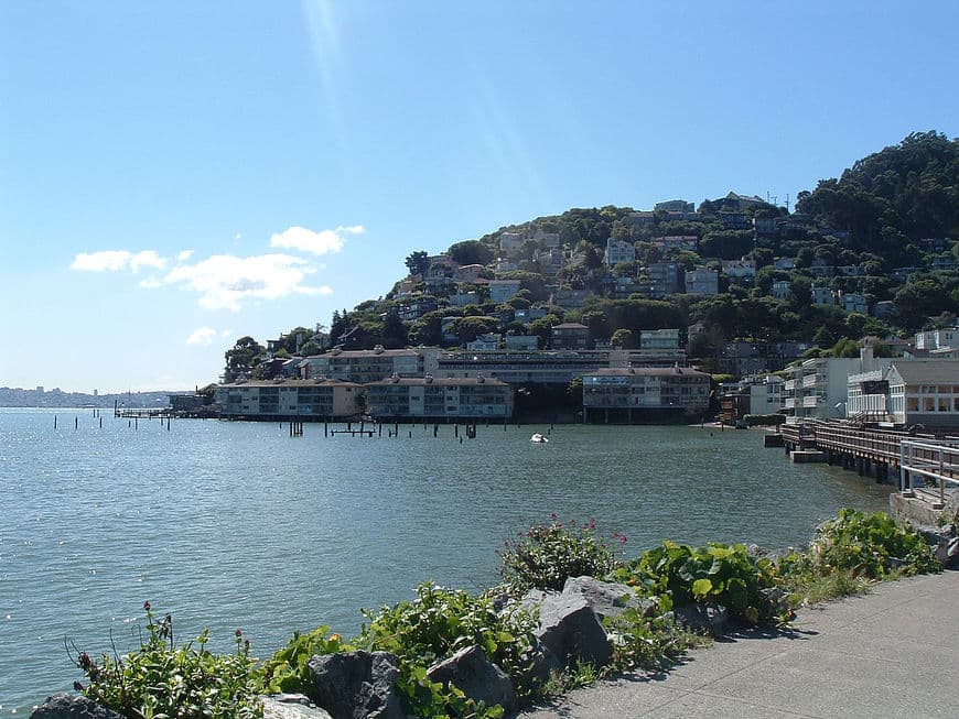 Place Sausalito