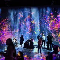 Place teamLab Borderless Tokyo: MORI Building DIGITAL ART MUSEUM