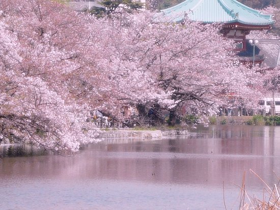 Place Ueno-Park