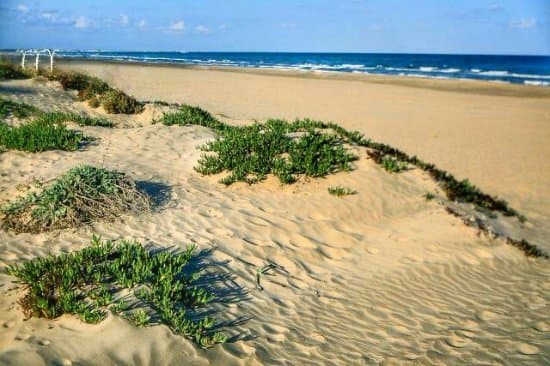 Lugar Canet d'En Berenguer Platja