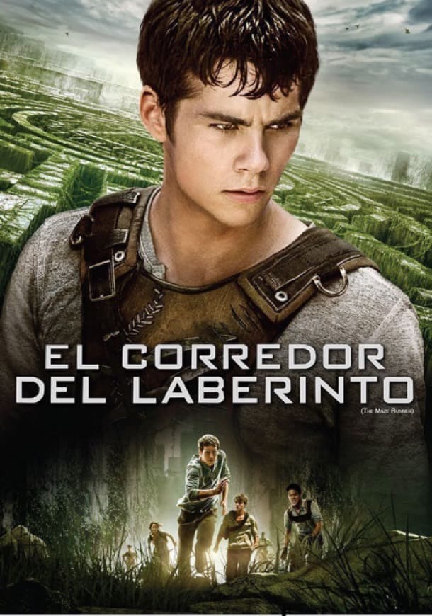 Moda El Corredor Del Laberinto Trailer 2014 Español - YouTube