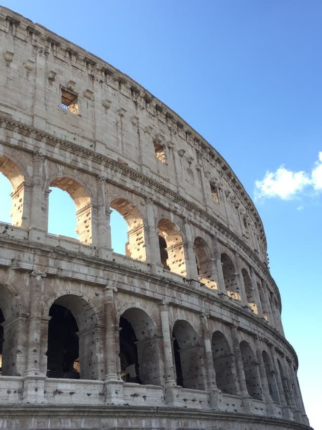 Lugar Coliseo de Roma