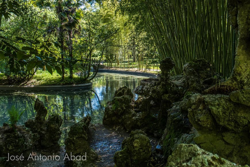 Lugar Parque Natural del Señorío de Bertiz