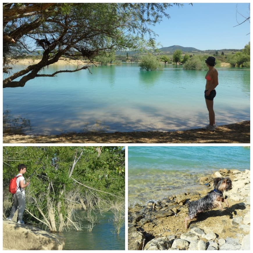 Lugar Pantano de Alloz