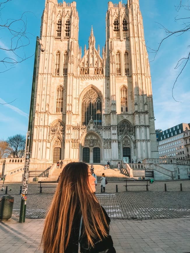 Place Catedral de San Miguel y Santa Gúdula de Bruselas