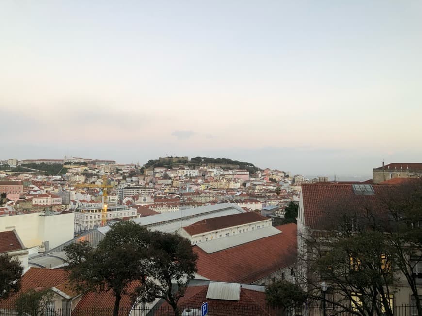 Lugar Jardín de São Pedro de Alcântara