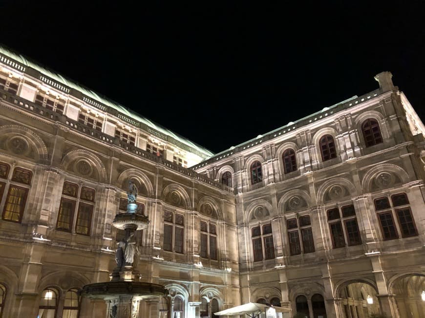 Lugar Vienna Operahouse