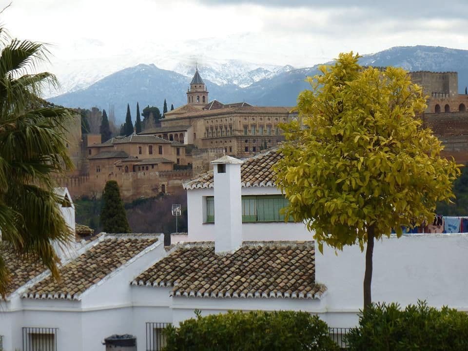 Place "Huerto De Carlos"