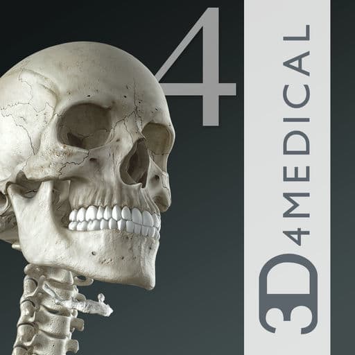 App Essential Skeleton 4