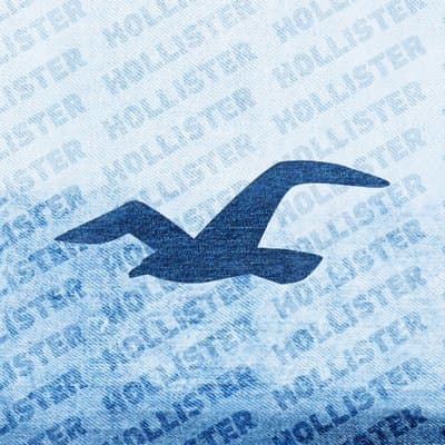 Place Hollister Co. Carpe Now | Clothing for Guys and Girls