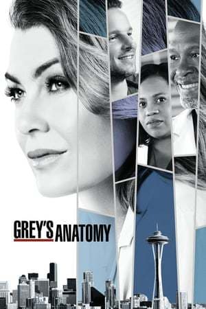 Serie Grey's Anatomy