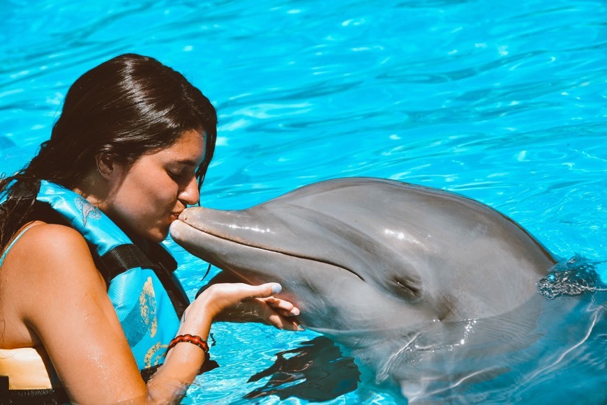 Lugar Dolphin Discovery Playa del Carmen Maroma