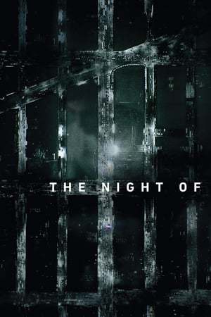 Serie The Night Of