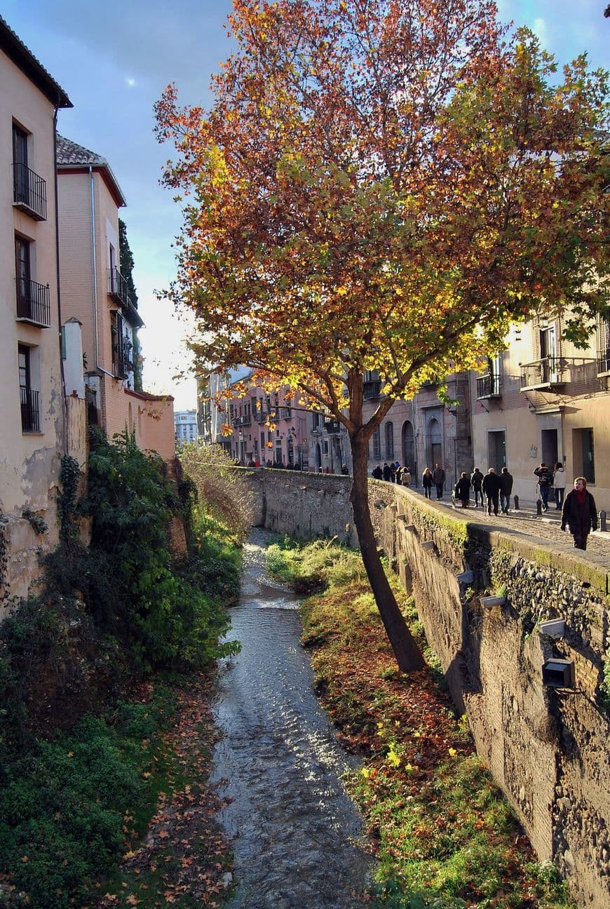 Place Carrera del Darro