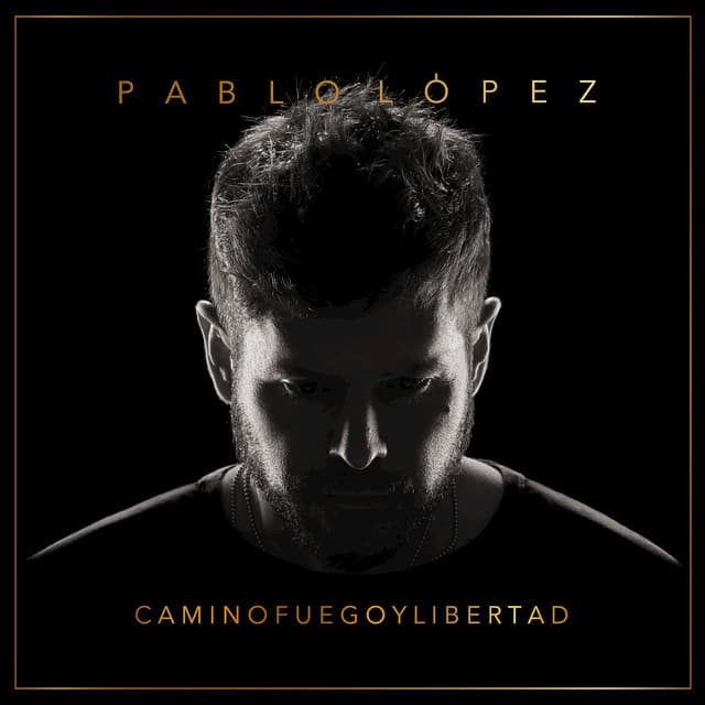 Canción El Gato