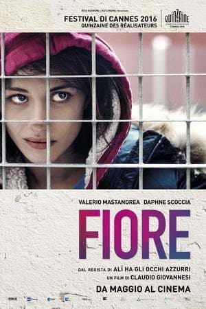 Película Fiore