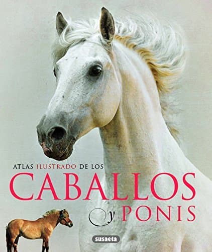 Libro Atlas Ilustrado De Los Caballos Y Ponys