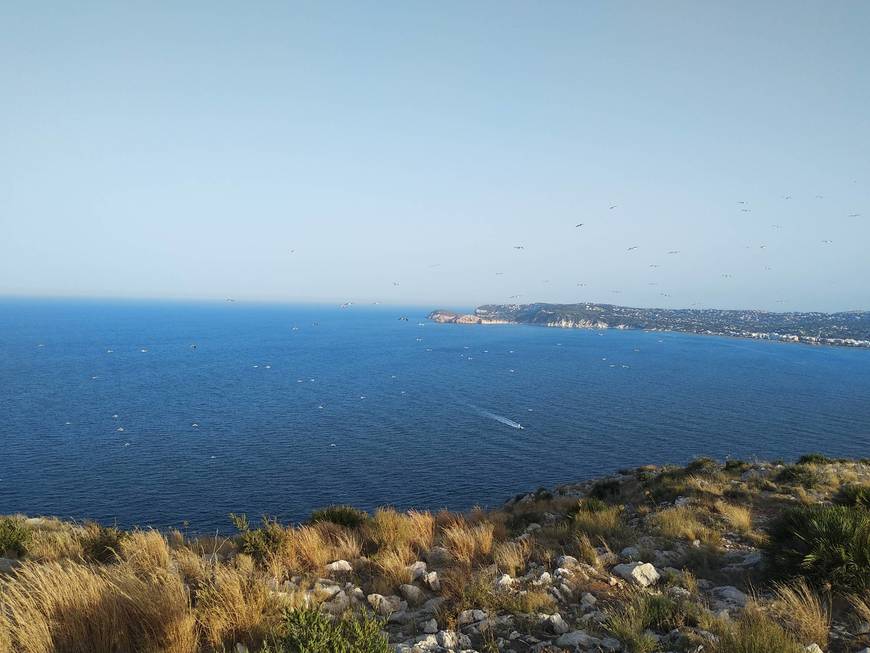 Place Cap de Sant Antoni