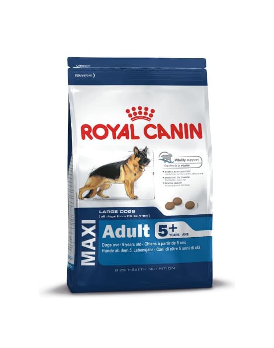 Product Royal Canin Comida para perros Maxi Adult +5 15 Kg