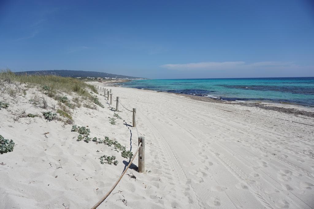 Place Playa de Migjorn