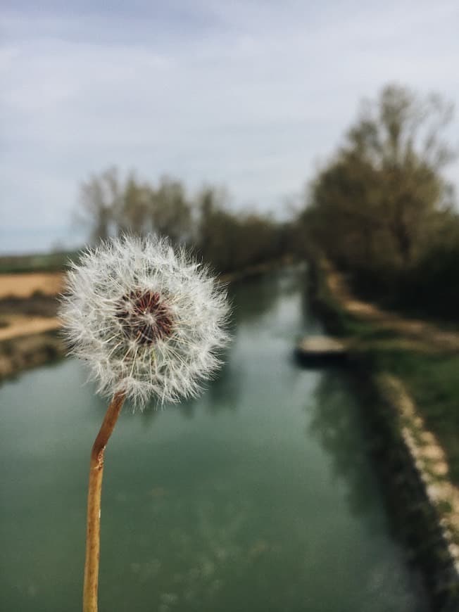 Lugar Canal de Castilla