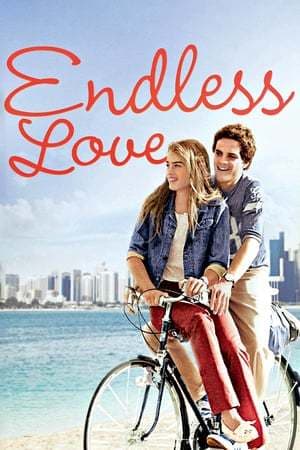 Película Endless Love