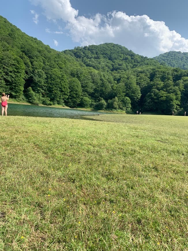 Place Embalse de Leurtza